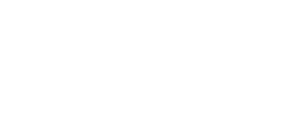 de' Medici Foundation Logo