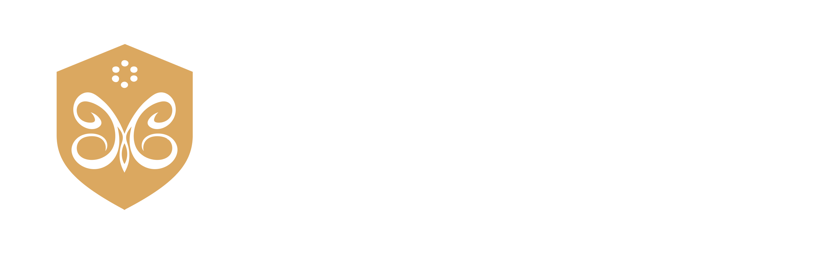 De' Medici Foundation